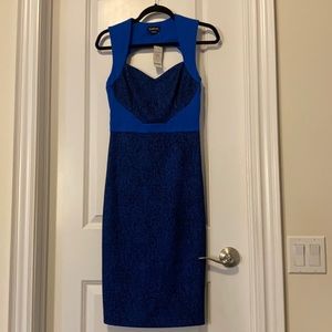 Bebe royal blue lace midi dress